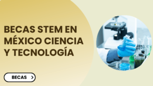 Becas STEM en México Ciencia y Tecnología